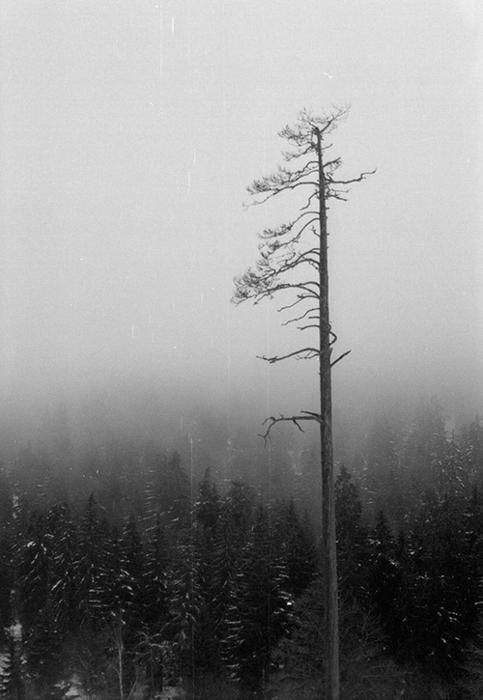 Archillect Archive ID 8046
