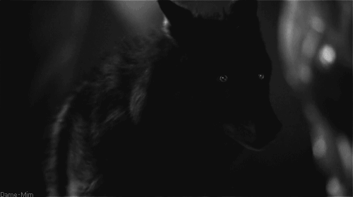 Archillect Archive ID 8111