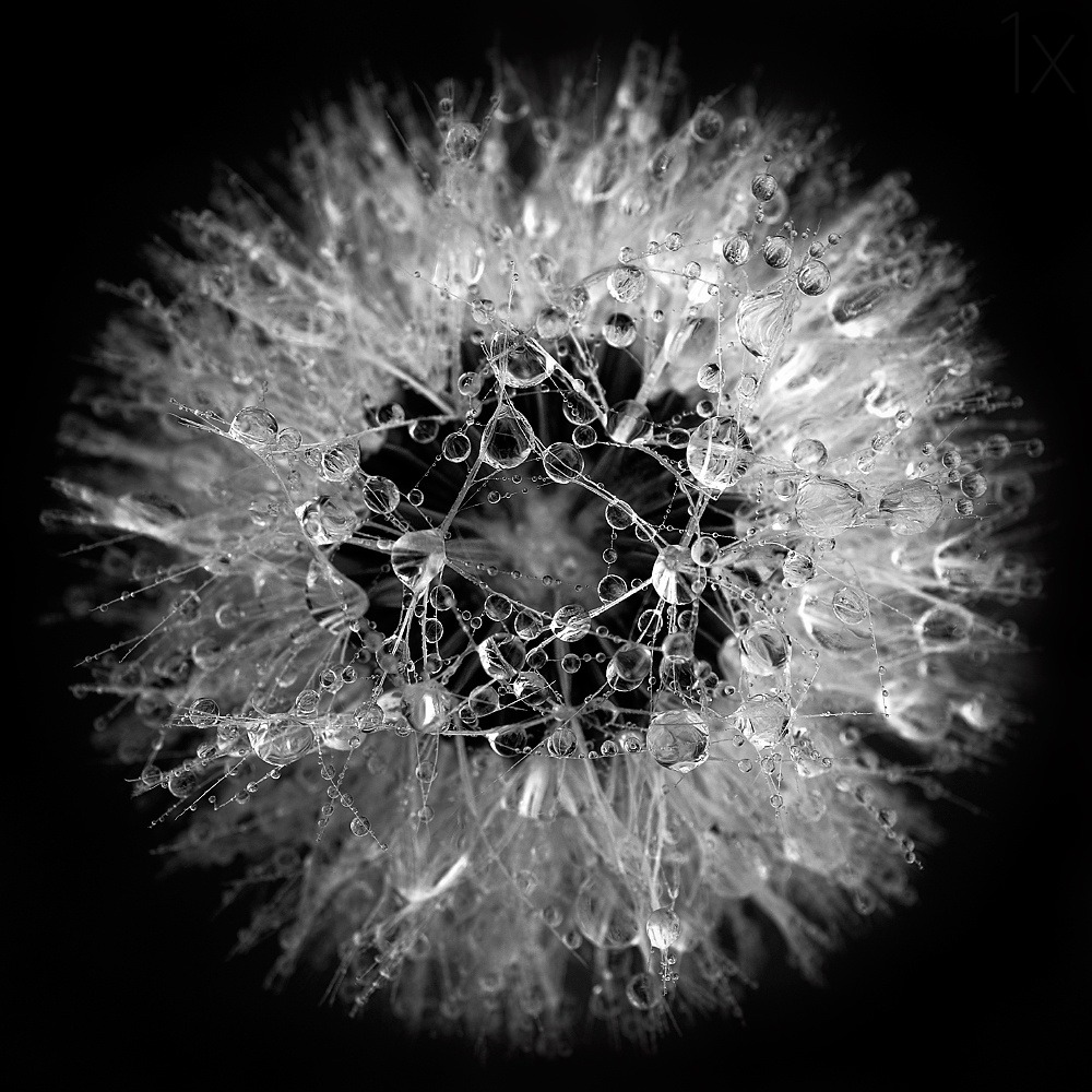Archillect Archive ID 8186