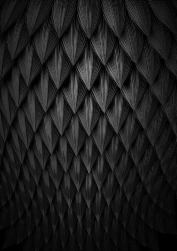 Archillect Archive ID 8187