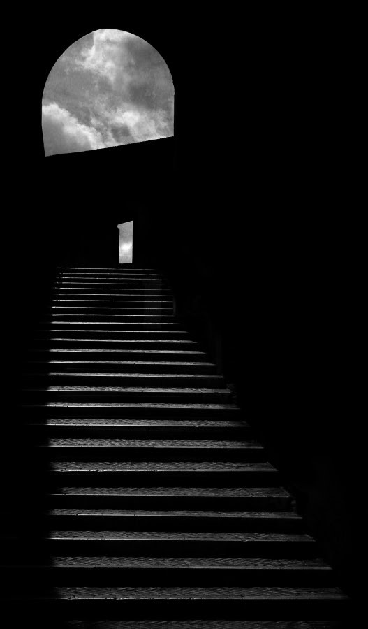 Archillect Archive ID 8204