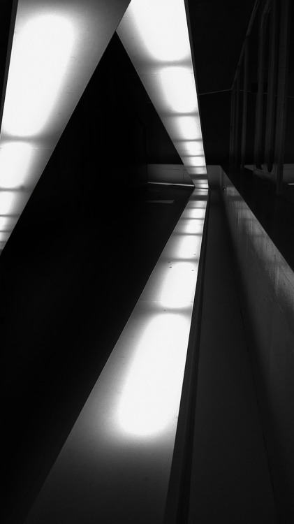 Archillect Archive ID 8210