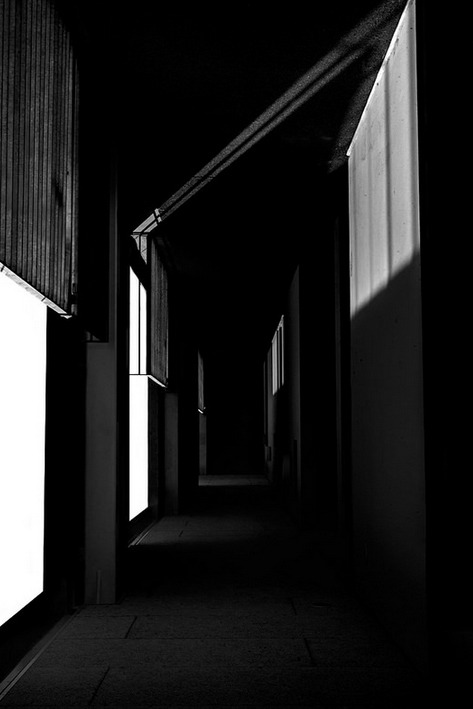 Archillect Archive ID 8237