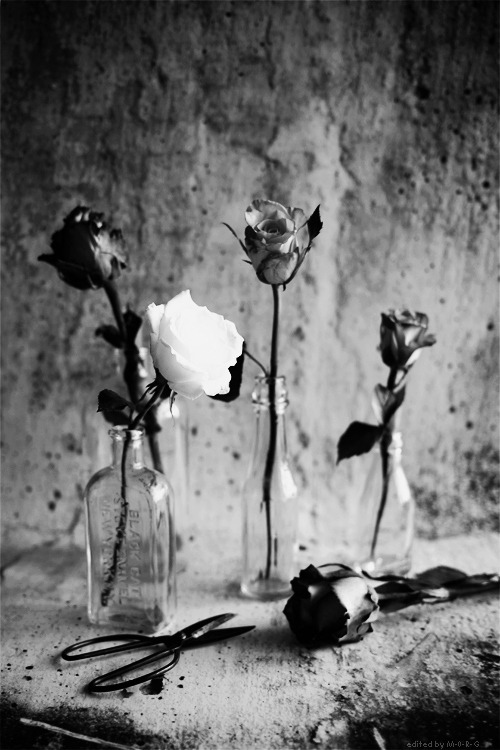 Archillect Archive ID 8255