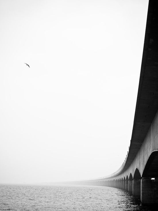 Archillect Archive ID 8265