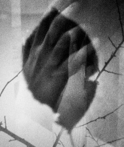Archillect Archive ID 8271