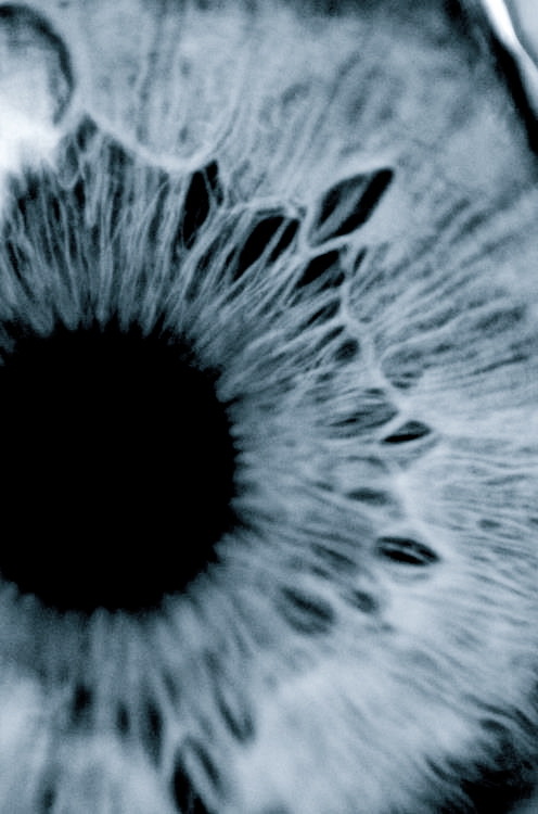 Archillect Archive ID 8333
