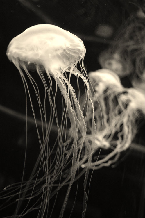 Archillect Archive ID 8476