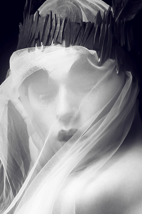 Archillect Archive ID 859