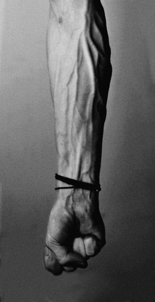 Archillect Archive ID 8595