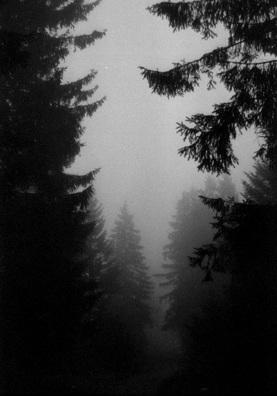 Archillect Archive ID 8737