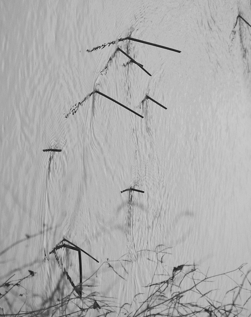 Archillect Archive ID 8747