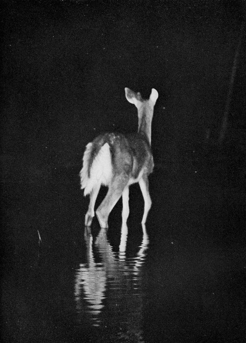 Archillect Archive ID 8799