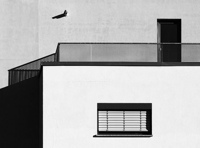 Archillect Archive ID 8839