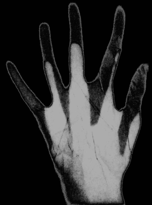 Archillect Archive ID 8935