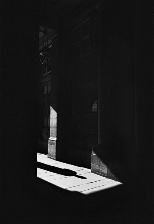 Archillect Archive ID 8976