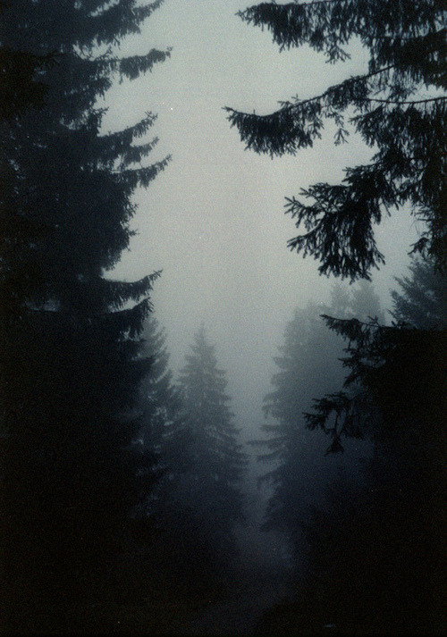 Archillect Archive ID 8998