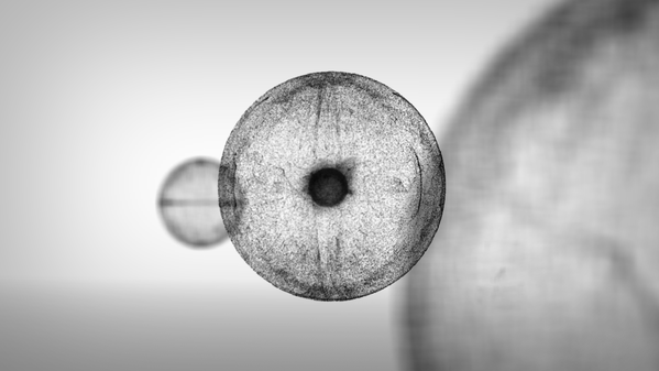 Archillect Archive ID 90