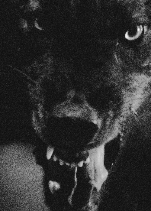 Archillect Archive ID 9089