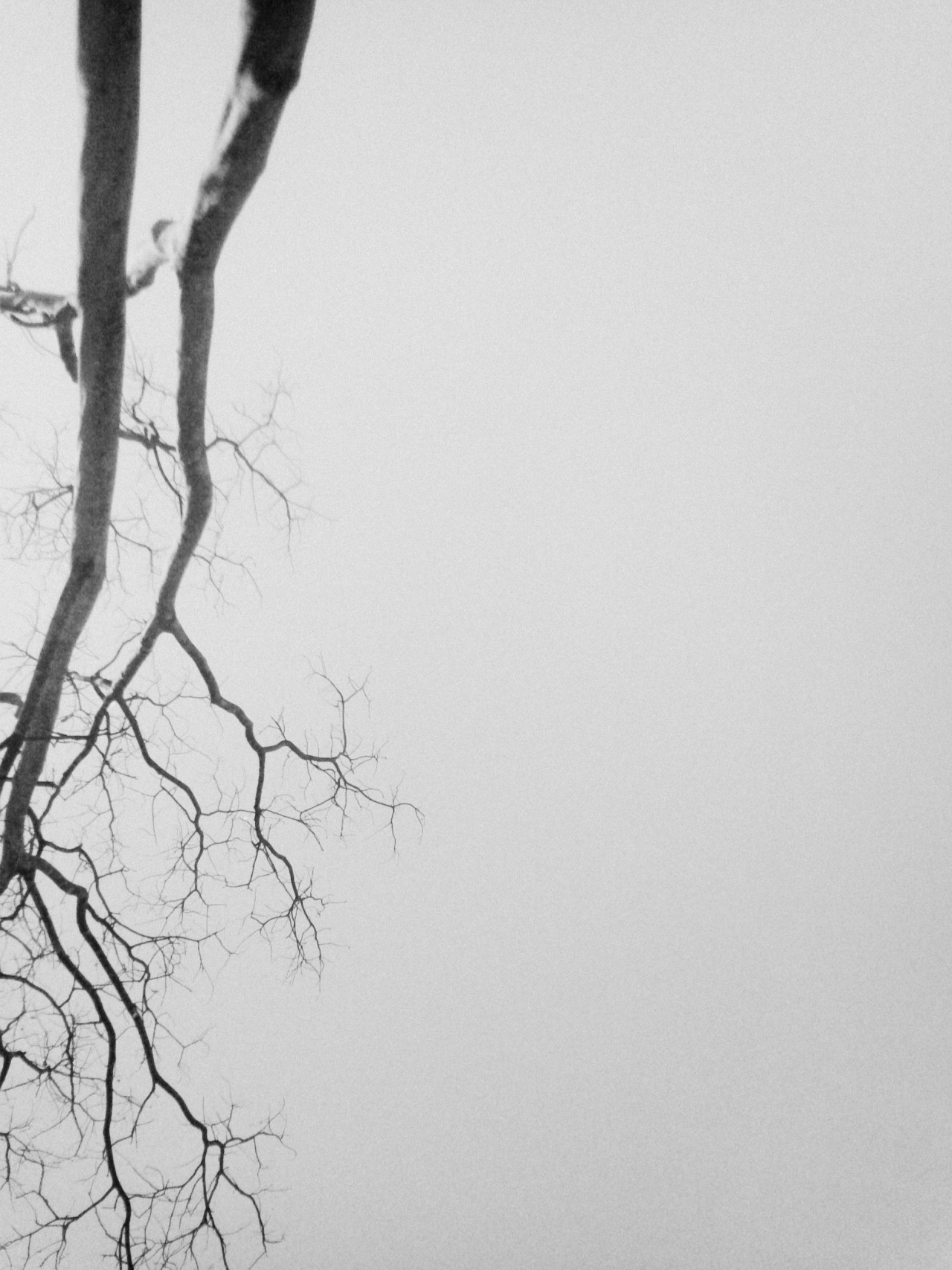 Archillect Archive ID 9113