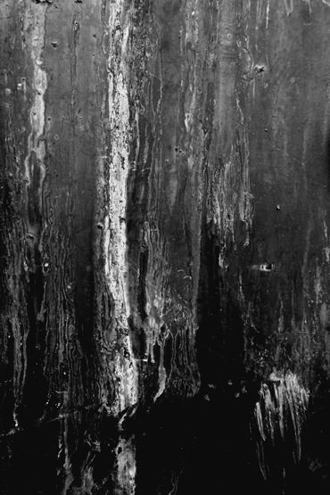 Archillect Archive ID 9156