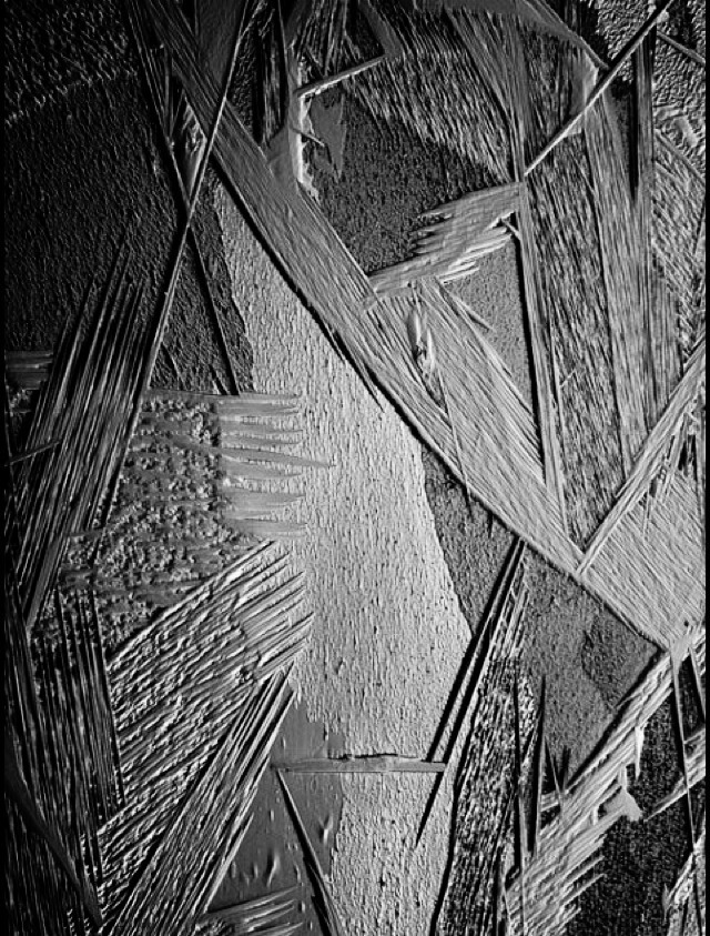 Archillect Archive ID 920