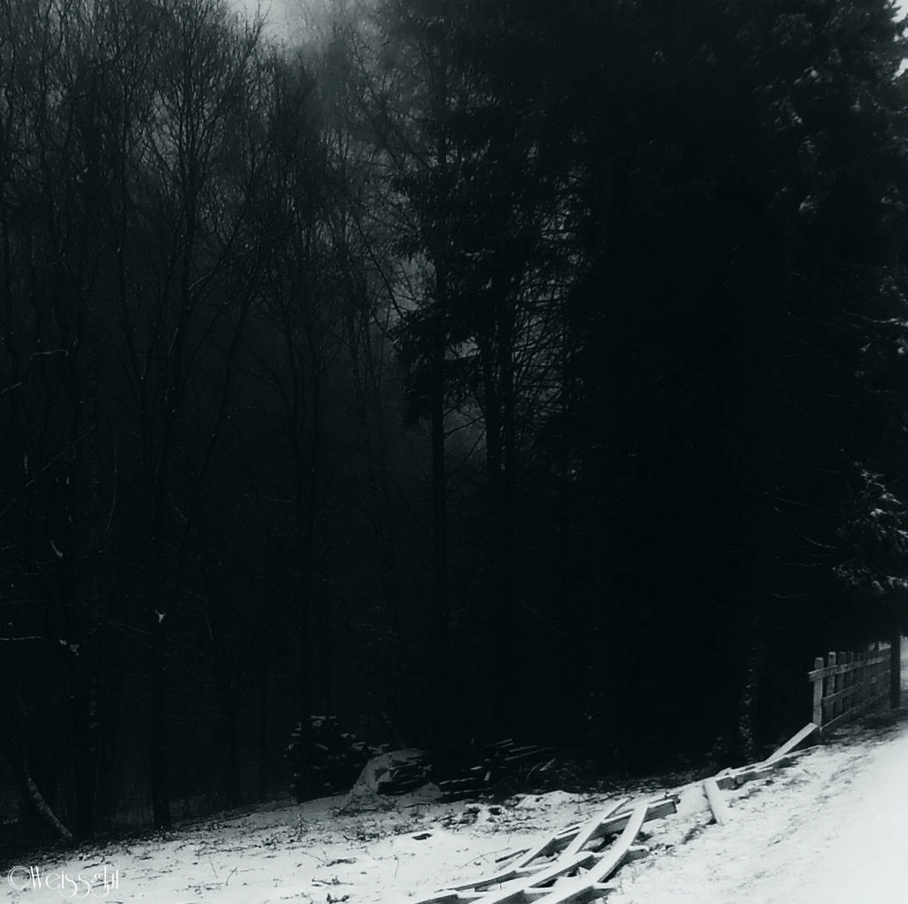 Archillect Archive ID 9213
