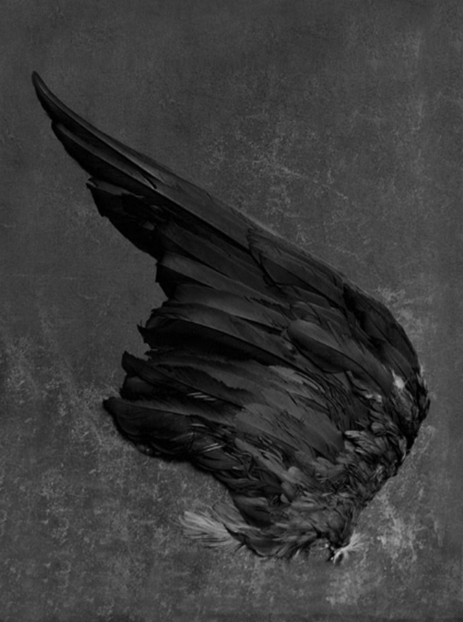 Archillect Archive ID 9220