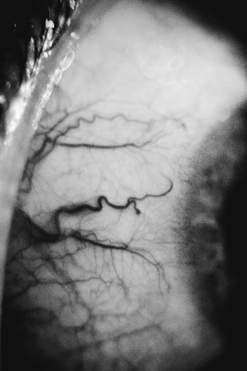Archillect Archive ID 9279