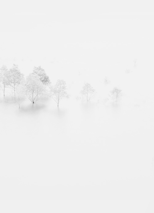 Archillect Archive ID 9305