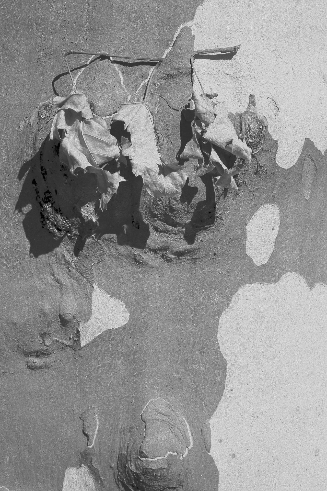 Archillect Archive ID 9317
