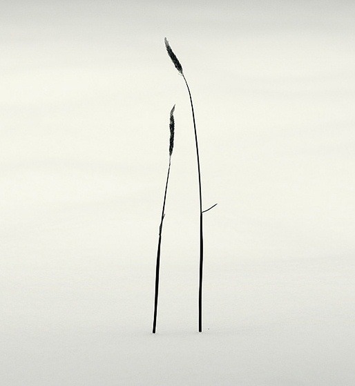 Archillect Archive ID 9318