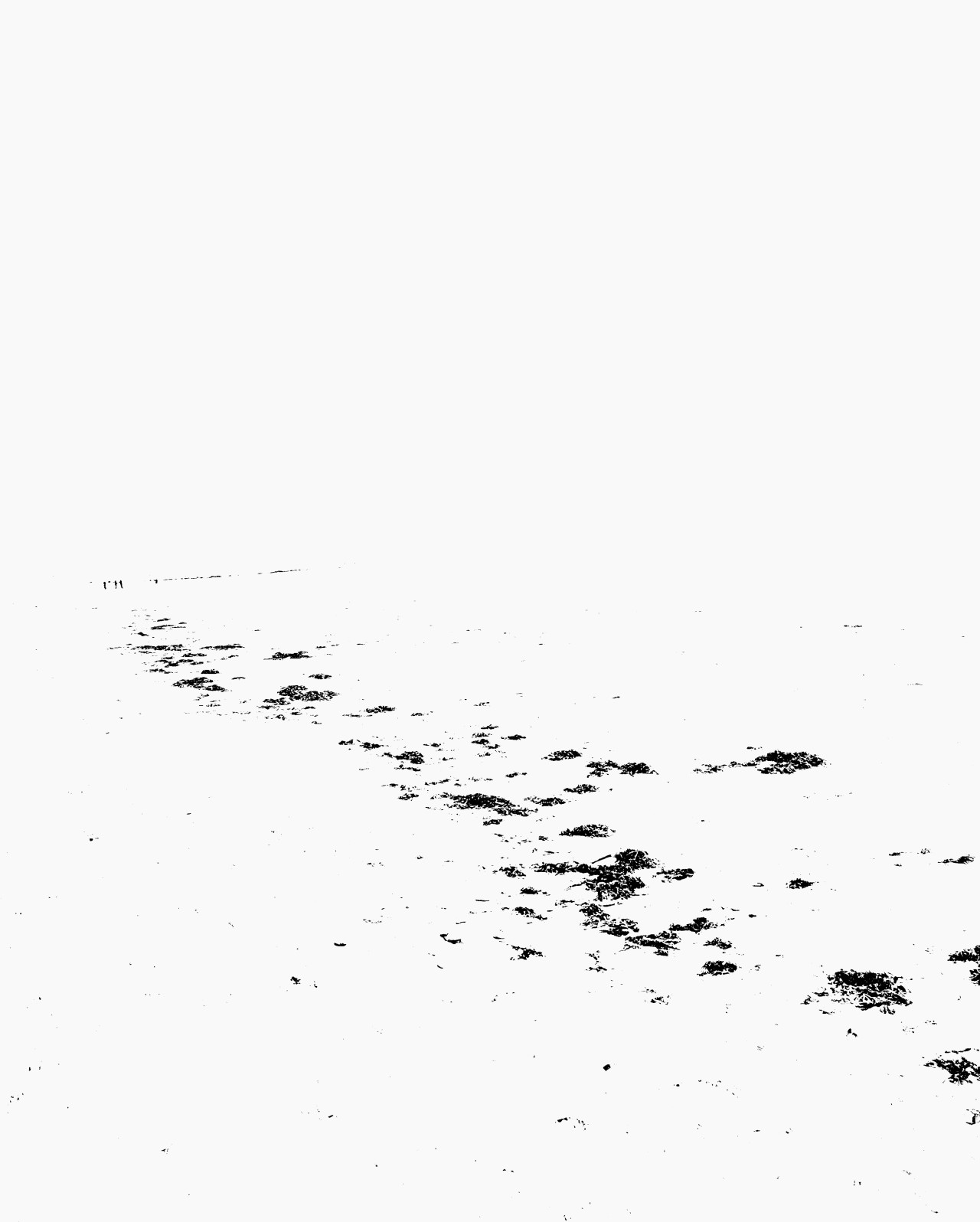 Archillect Archive ID 9359