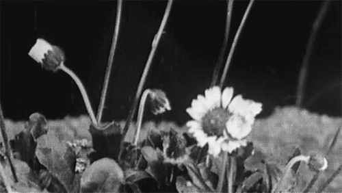 Archillect Archive ID 9615