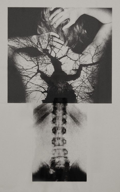 Archillect Archive ID 9625
