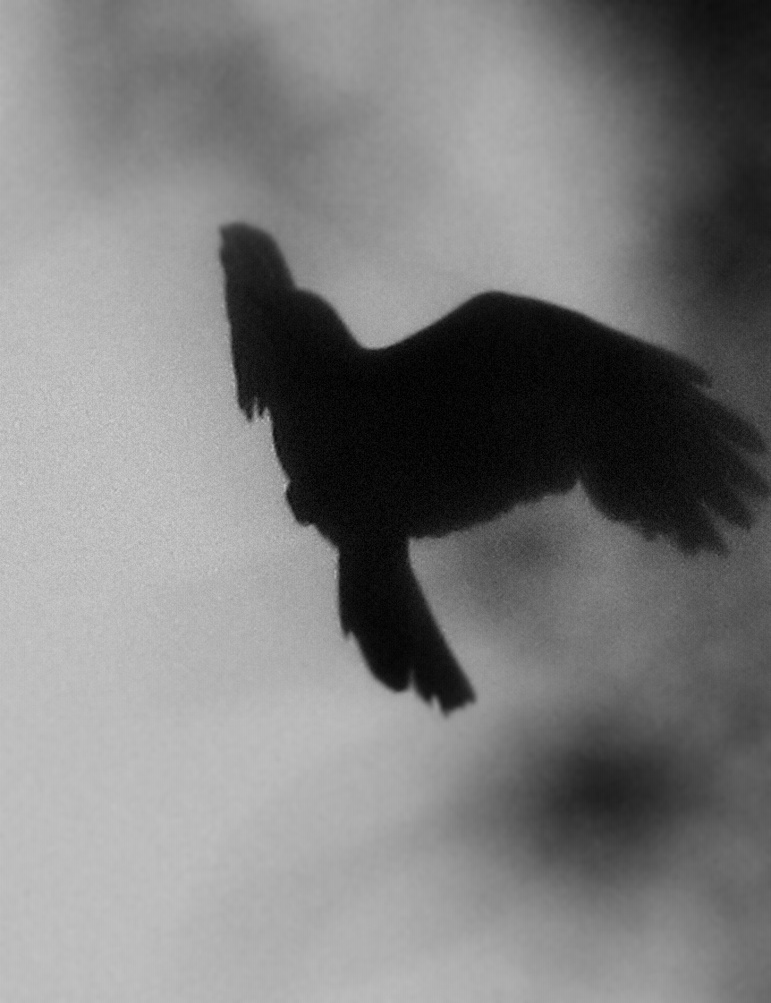 Archillect Archive ID 9626