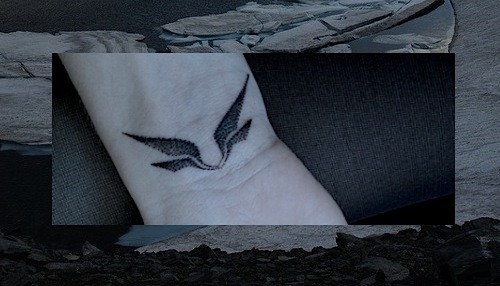 Archillect Archive ID 9651