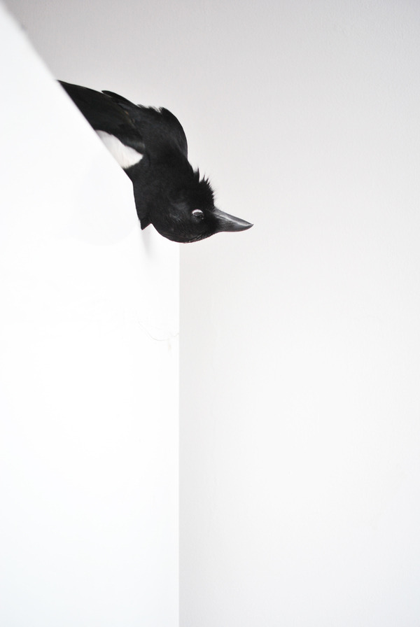 Archillect ID 9739