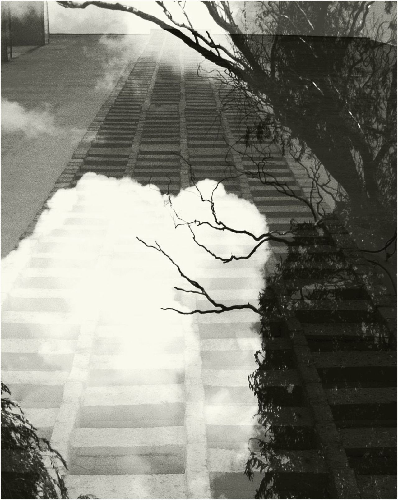 Archillect ID 9749