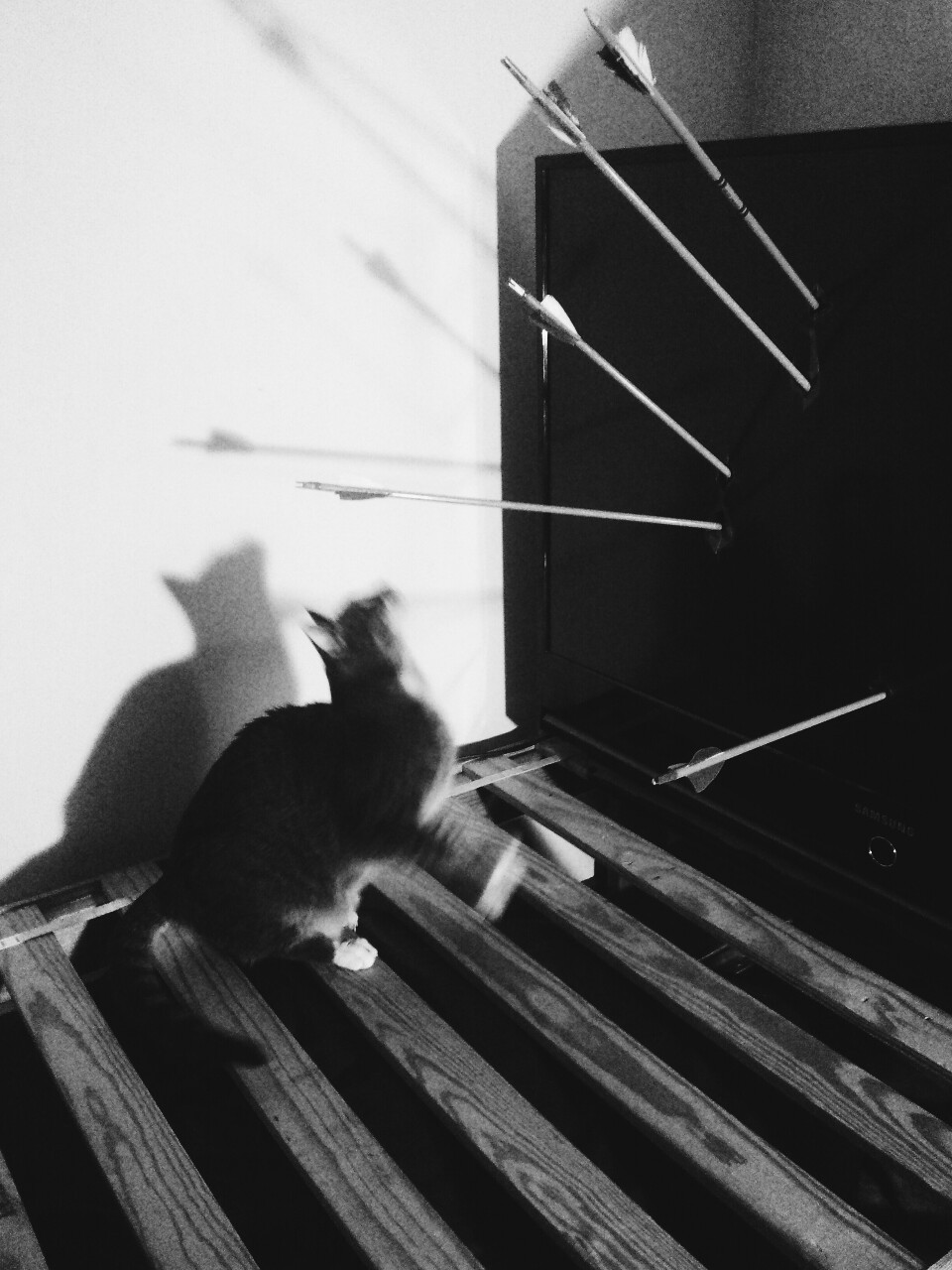 Archillect ID 9787