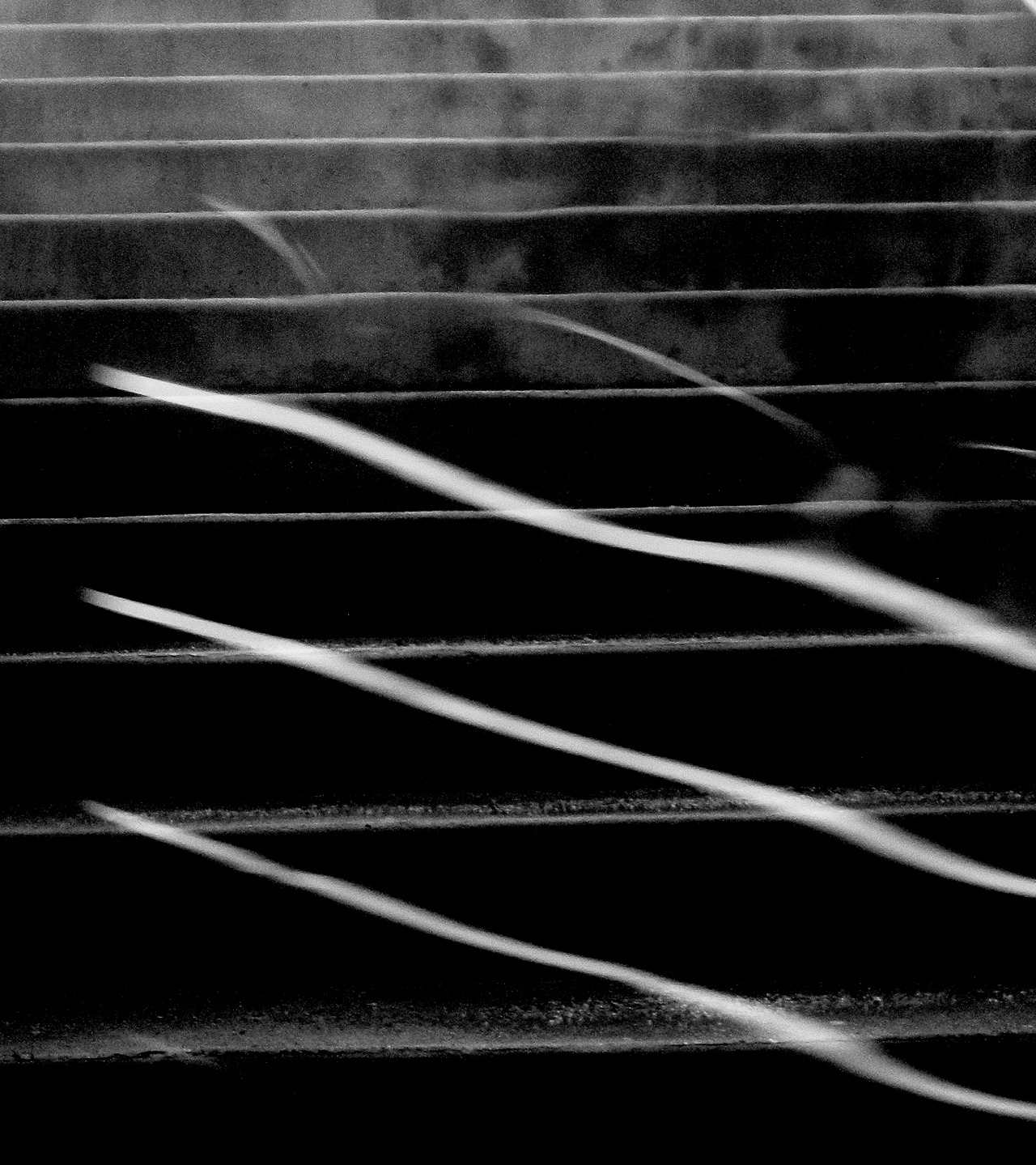 Archillect ID 9835