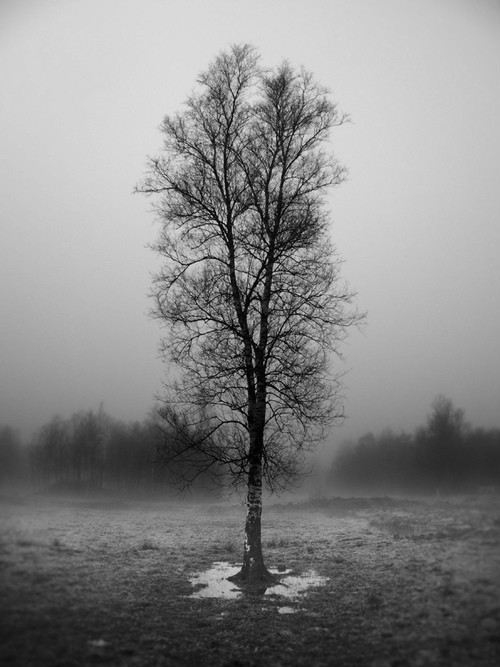 Archillect ID 9850