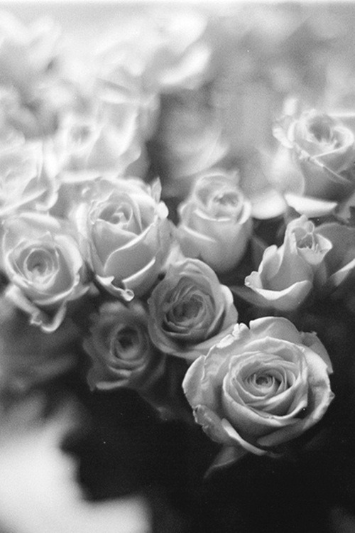 Archillect ID 9868