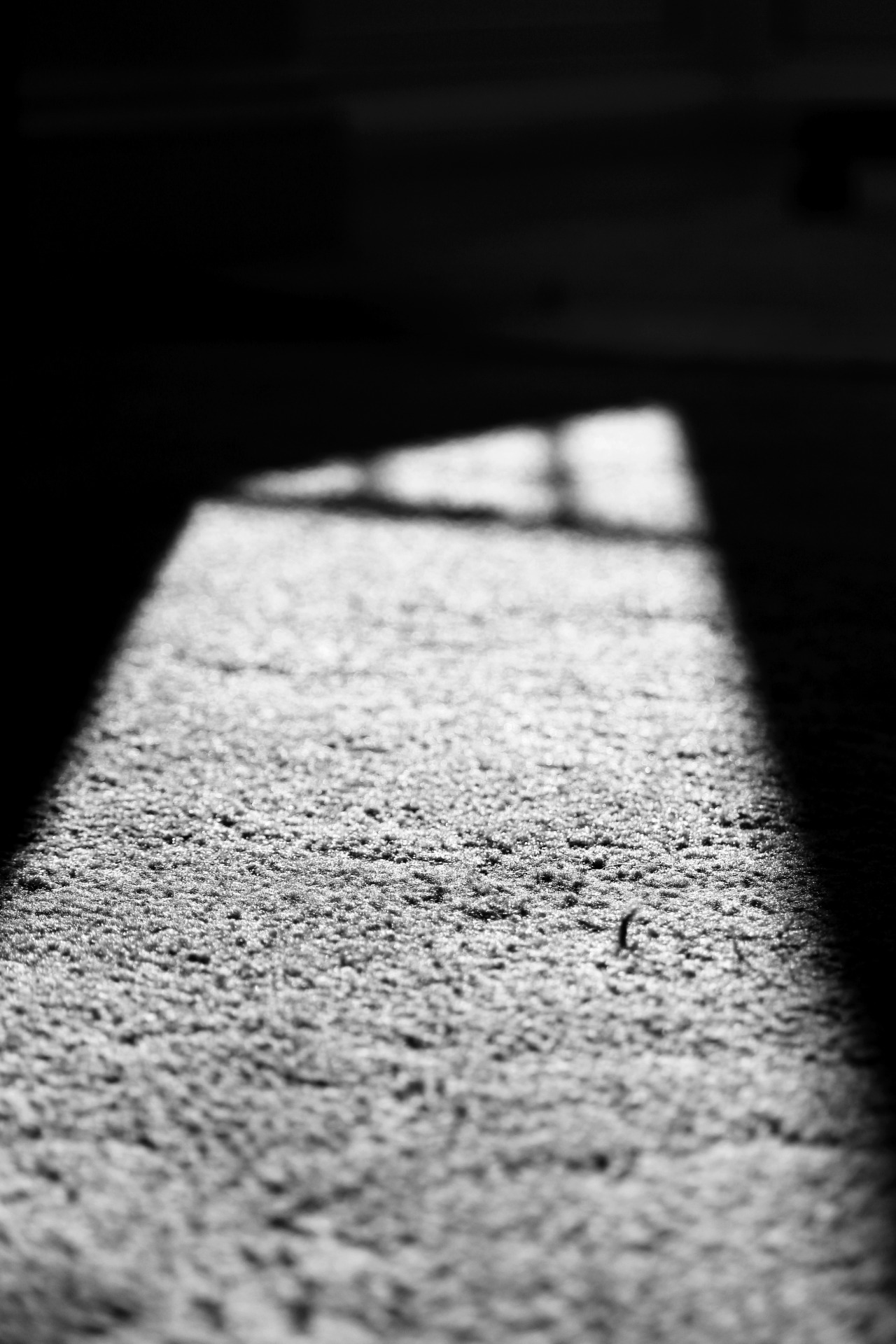 Archillect ID 9961