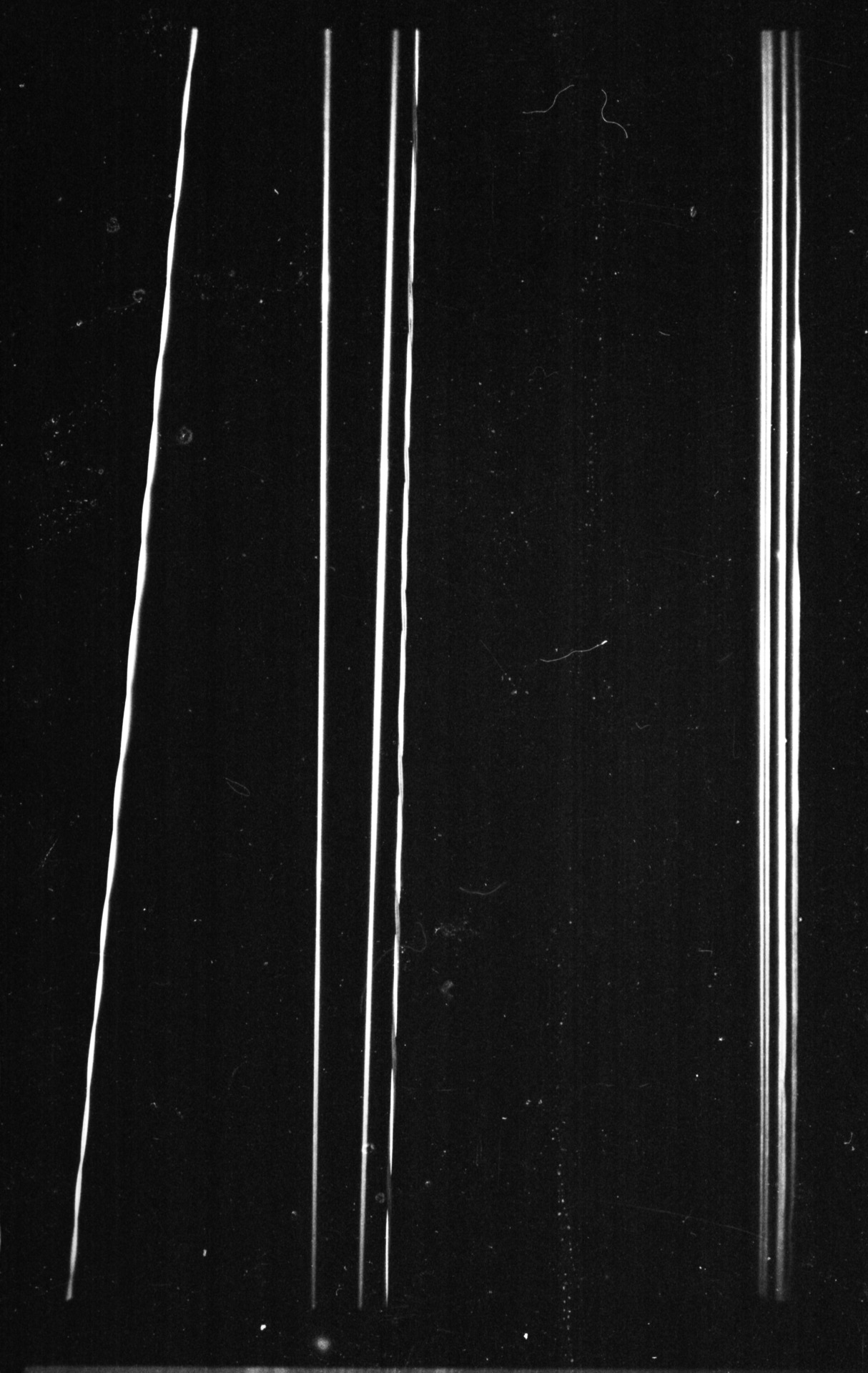 Archillect ID 10009