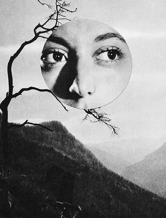 Archillect ID 10050