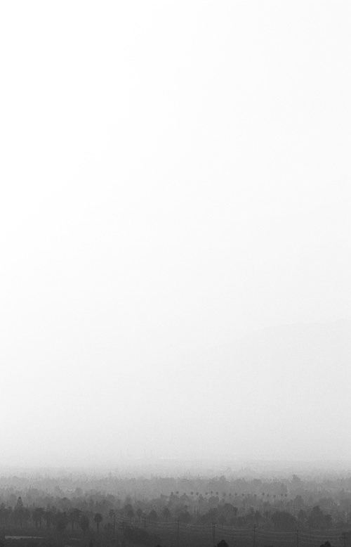 Archillect ID 10076
