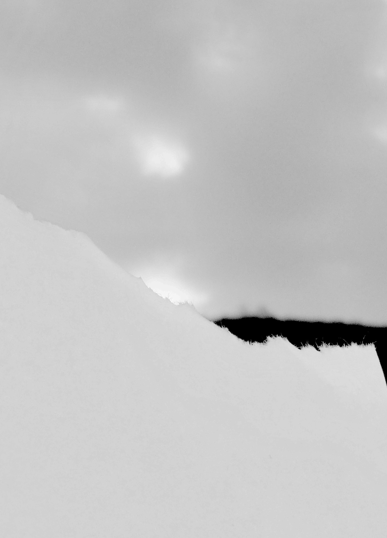 Archillect ID 10117