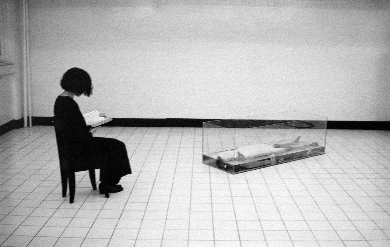 Archillect ID 10127