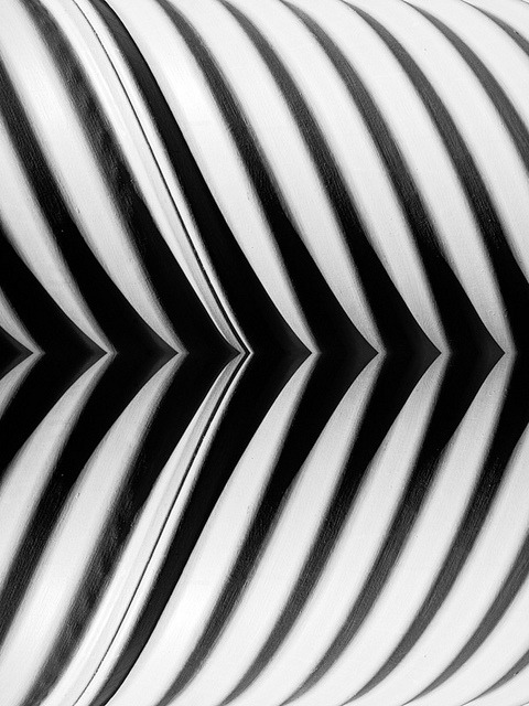 Archillect ID 10218